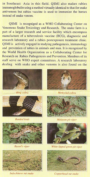Snake Farm 3