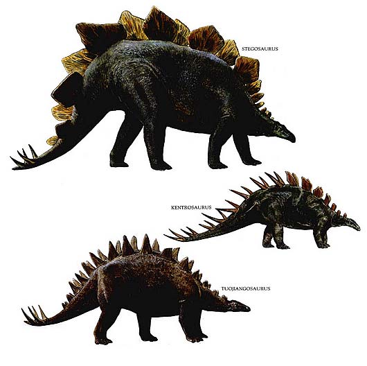 armored dinosaurs list
