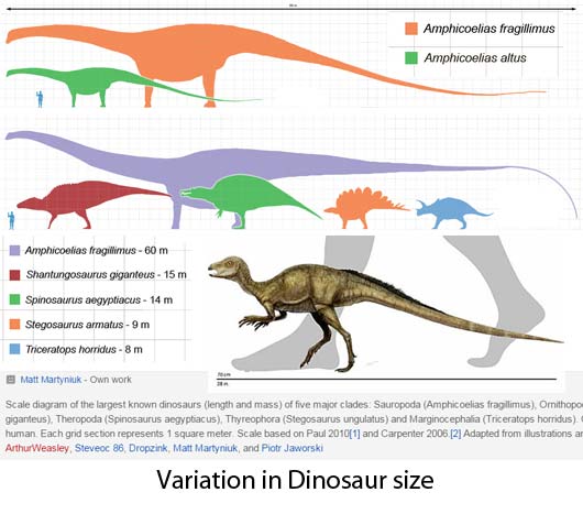 dinosaurs smallest to largest
